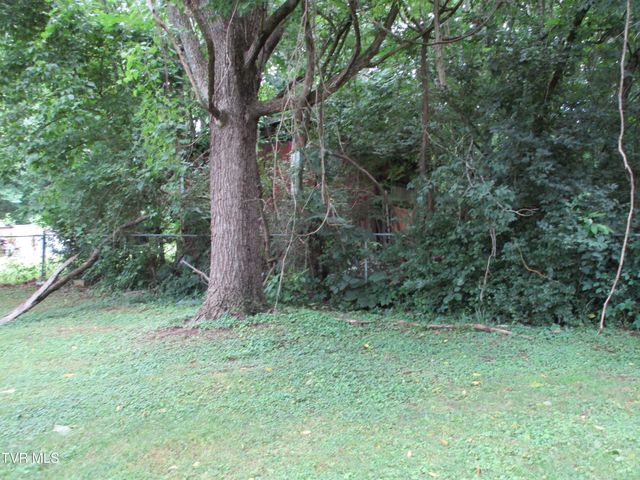 1818 West Lakeview Drive, Johnson City, TN 37601