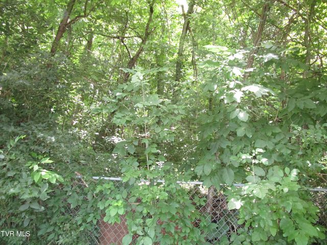 1818 West Lakeview Drive, Johnson City, TN 37601