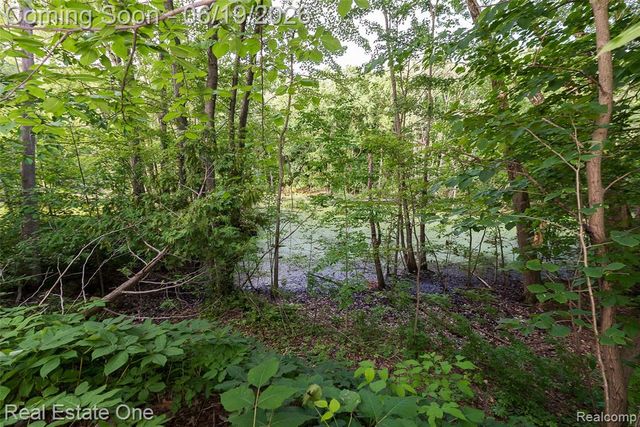 11459 Patterson Lake Drive, Pinckney, MI 48169