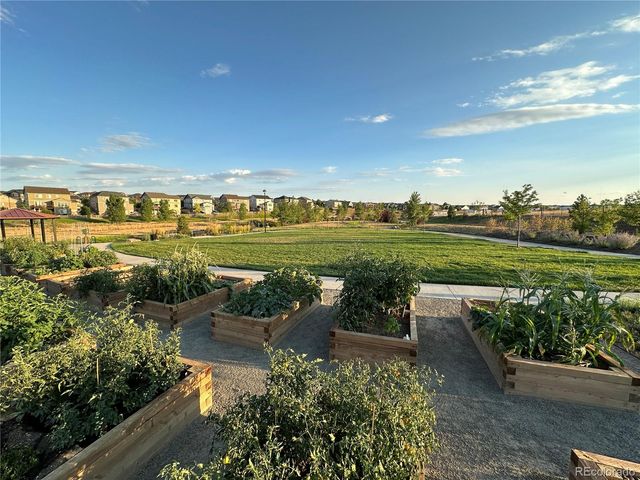 12759 Tamarac Street, Thornton, CO 80602