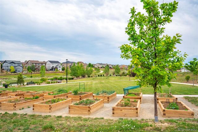 12759 Tamarac Street, Thornton, CO 80602