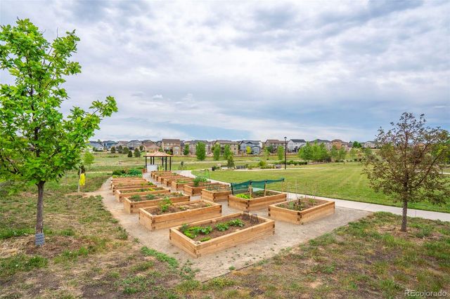 12759 Tamarac Street, Thornton, CO 80602