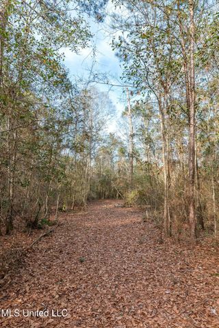 00 Peapatch Road, Biloxi, MS 39532
