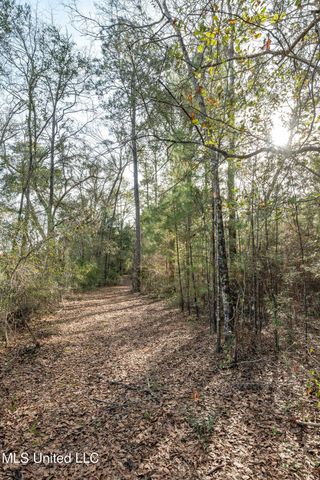 00 Peapatch Road, Biloxi, MS 39532