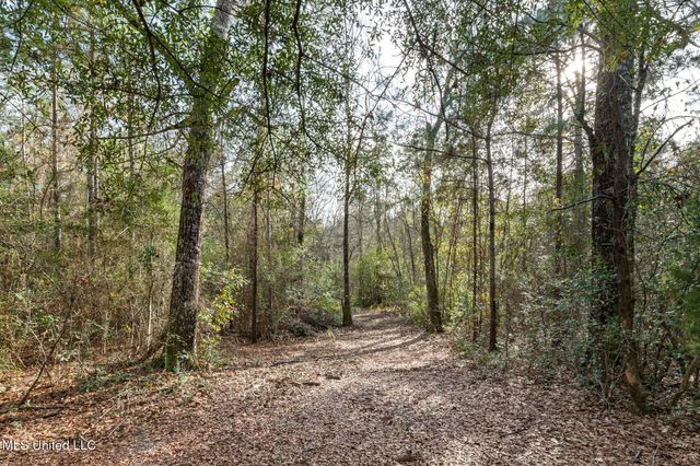 00 Peapatch Road, Biloxi, MS 39532