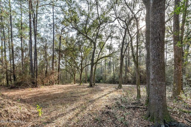 00 Peapatch Road, Biloxi, MS 39532