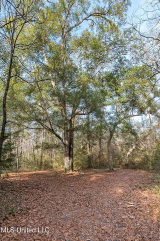 00 Peapatch Road, Biloxi, MS 39532