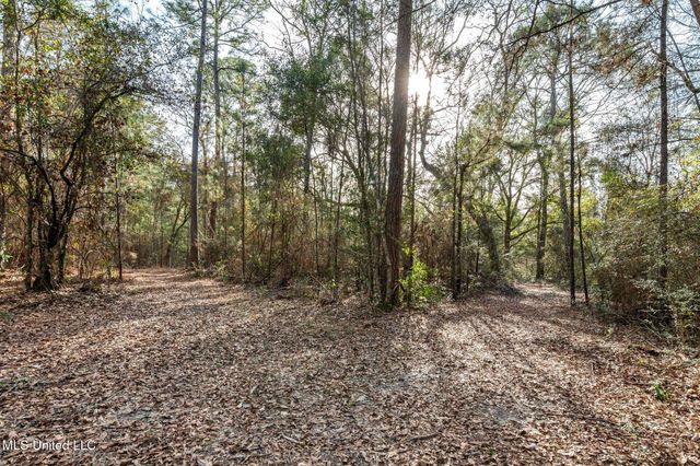 00 Peapatch Road, Biloxi, MS 39532