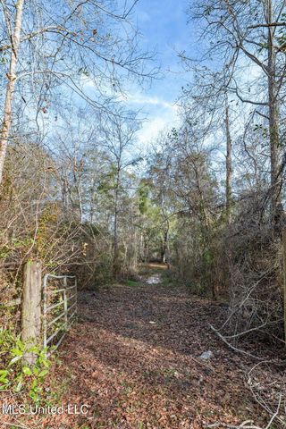 00 Peapatch Road, Biloxi, MS 39532