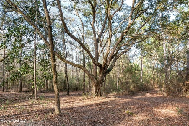 00 Peapatch Road, Biloxi, MS 39532