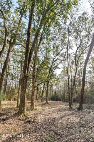 00 Peapatch Road, Biloxi, MS 39532