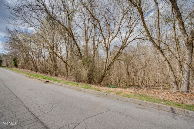 Lot 7 Lake Forest Drive, Kingsport, TN 37663