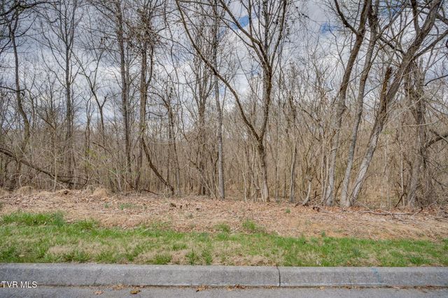 Lot 7 Lake Forest Drive, Kingsport, TN 37663