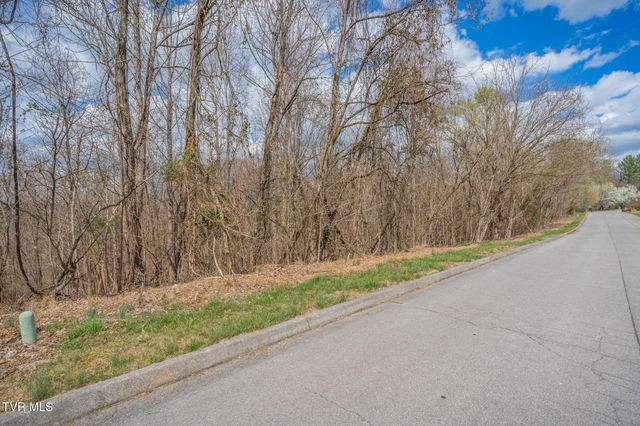 Lot 7 Lake Forest Drive, Kingsport, TN 37663