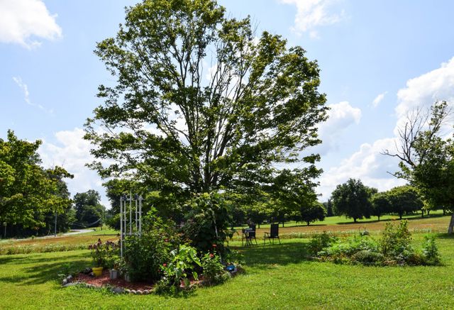 135 Old Hwy 52W, Portland, TN 37148