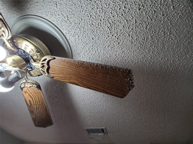 3016-3022 N Bell Avenue, Denton, TX 76209