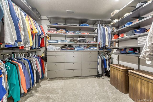 9857 Rosalee Peak Street, Littleton, CO 80125