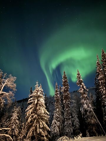 1581 SNOWBASIN ROAD, Fairbanks, AK 99709