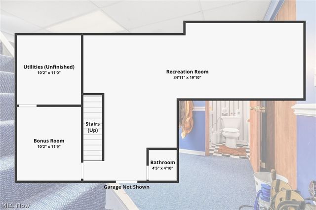 803 Collins Pond Drive, Ravenna, OH 44266