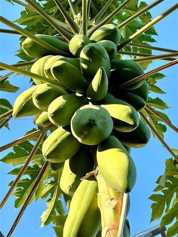 11117 SW 122nd Ct, Miami, FL 33186