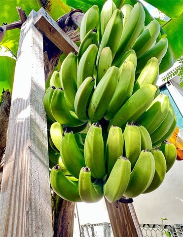 11117 SW 122nd Ct, Miami, FL 33186