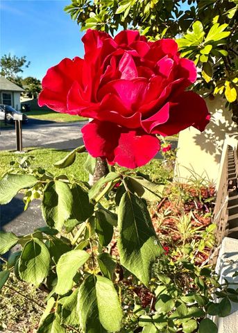 11117 SW 122nd Ct, Miami, FL 33186