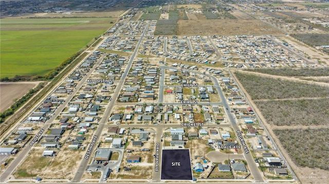 4315 N Alamo Road, Edinburg, TX 78542