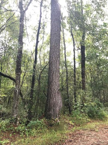 3665 E Railroad, Vidor, TX 77662