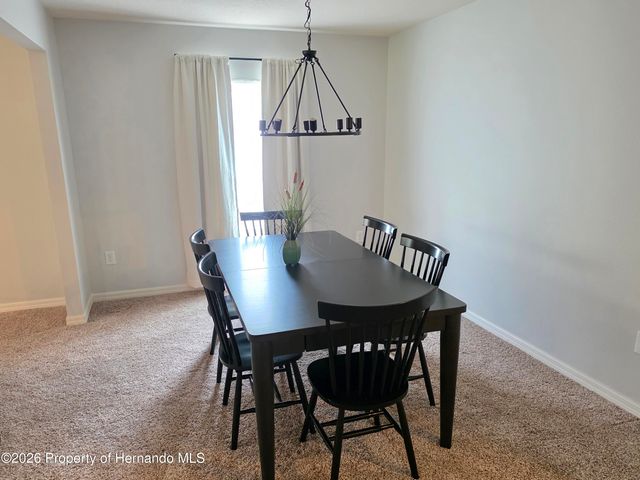 6210 Alderwood Street, Spring Hill, FL 34606