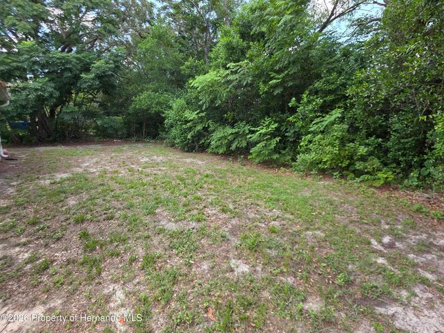 6210 Alderwood Street, Spring Hill, FL 34606