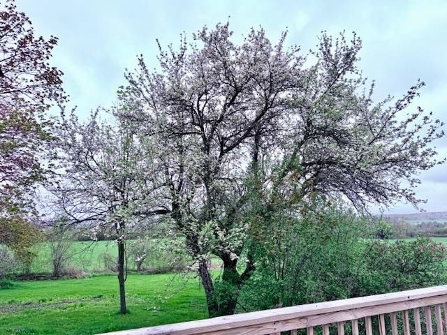 194 Old Sawmill Road, Orwell, VT 05778