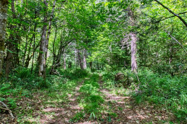 456 Garner Road, Cave Junction, OR 97523