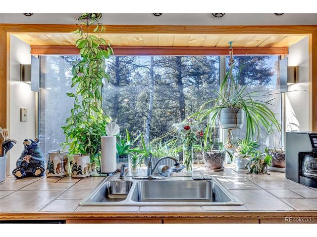 191 Nuaku, Florissant, CO 80816