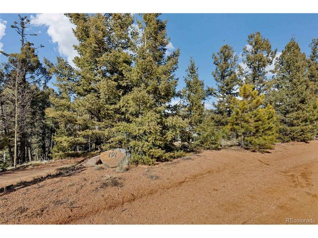 191 Nuaku, Florissant, CO 80816