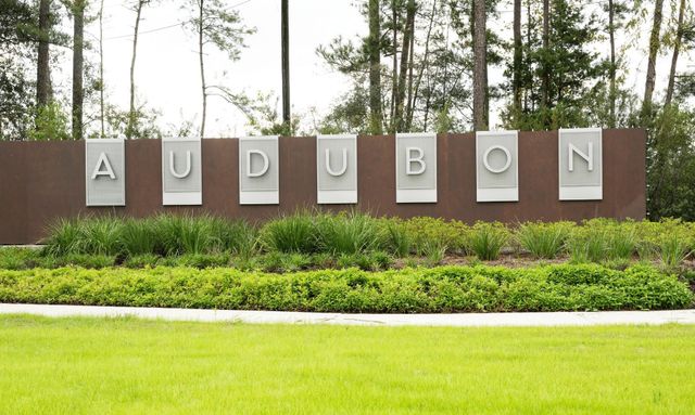 39247 Water Rail Court, Magnolia, TX 77354