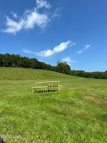 721 Sawyer Hollow Road, Richmondville, NY 12149