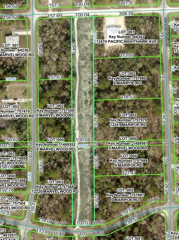 PACIFIC NIGHTHAWK AVENUE, Brooksville, FL 34614