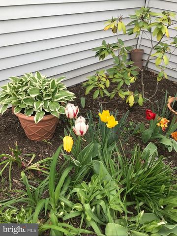 1105 YARDLEY CMNS, Yardley, PA 19067