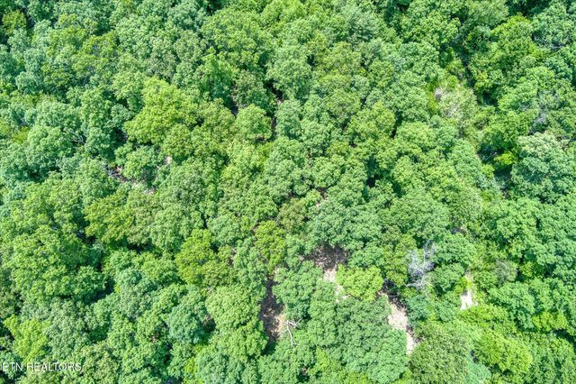169 Woods Hollow Lane, Crossville, TN 38571