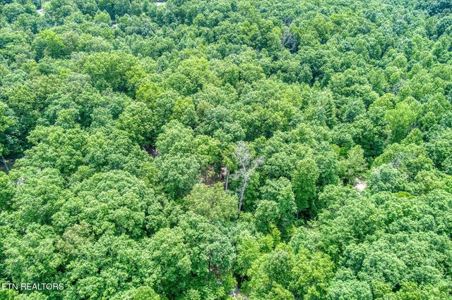 169 Woods Hollow Lane, Crossville, TN 38571