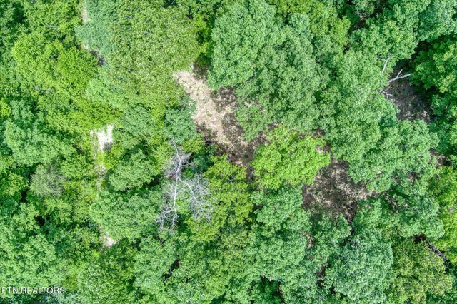 169 Woods Hollow Lane, Crossville, TN 38571