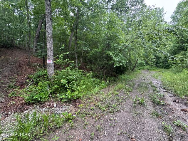 169 Woods Hollow Lane, Crossville, TN 38571