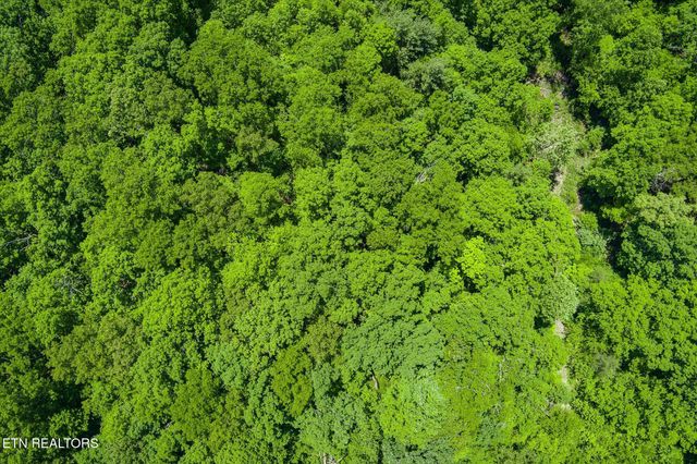 169 Woods Hollow Lane, Crossville, TN 38571