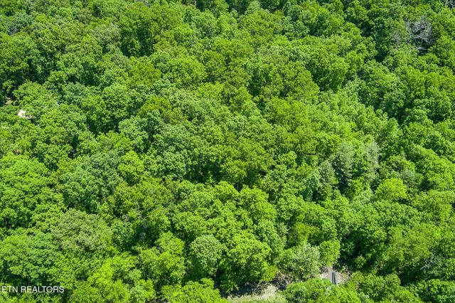 169 Woods Hollow Lane, Crossville, TN 38571
