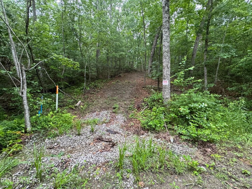 169 Woods Hollow Lane, Crossville, TN 38571
