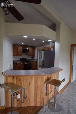 877 Maid Marian Drive, Divide, CO 80814