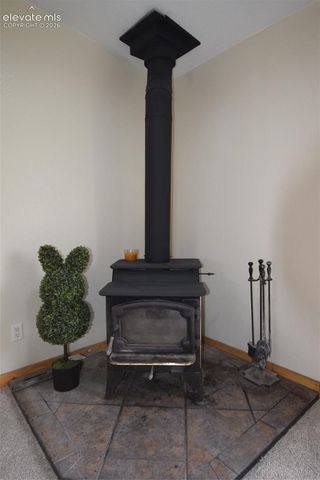 877 Maid Marian Drive, Divide, CO 80814