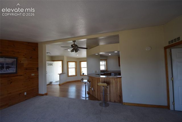 877 Maid Marian Drive, Divide, CO 80814