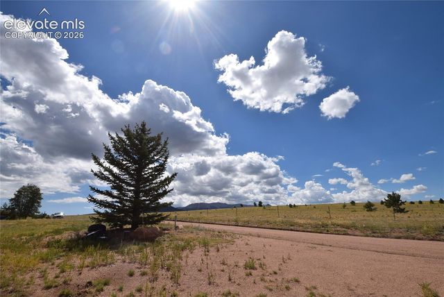 877 Maid Marian Drive, Divide, CO 80814
