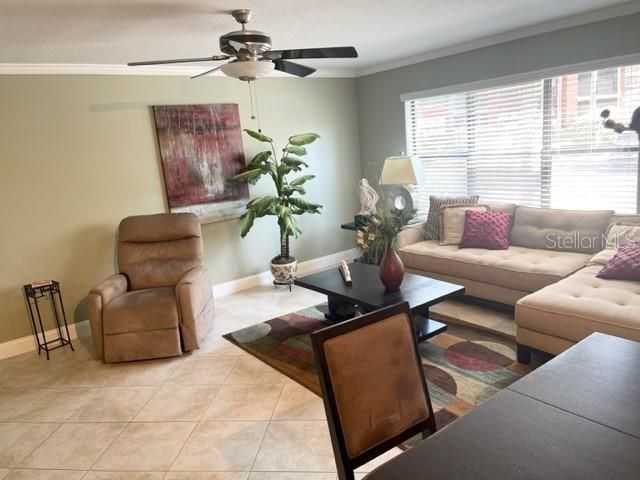 3548 TOBAGO LANE 104, Tampa, FL 33614